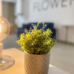 Beeapartments מלון דירות בארי