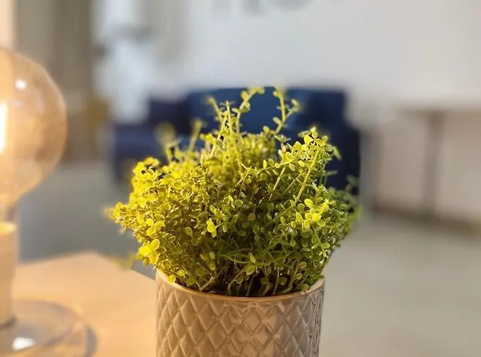 Beeapartments Aparthotel Bari