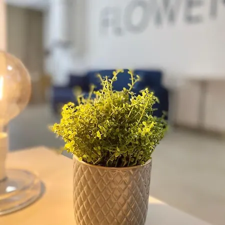 Beeapartments מלון דירות בארי